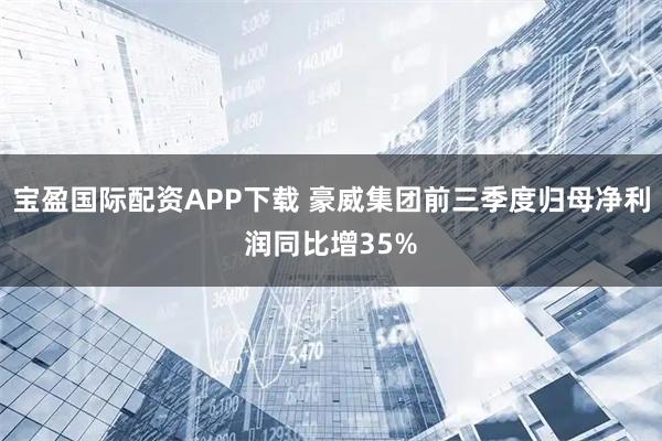 宝盈国际配资APP下载 豪威集团前三季度归母净利润同比增35%