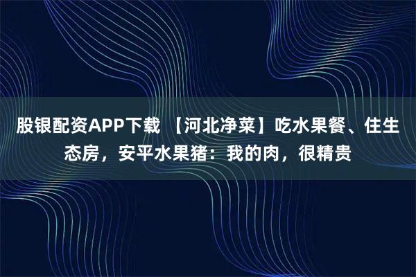 股银配资APP下载 【河北净菜】吃水果餐、住生态房，安平水果猪：我的肉，很精贵