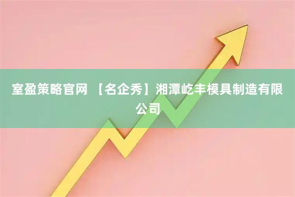 室盈策略官网 【名企秀】湘潭屹丰模具制造有限公司